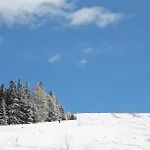 Chalet Koralpe Enzian