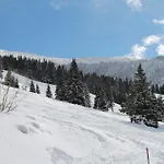 Koralpe Enzian Frantschach-Sankt Gertraud