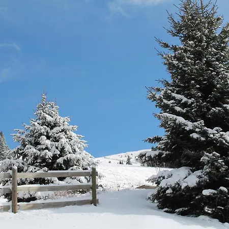 Koralpe Enzian Chalet Frantschach-Sankt Gertraud
