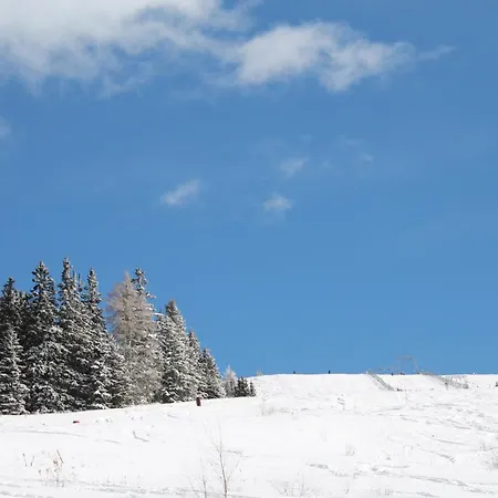 Chalet Koralpe Enzian