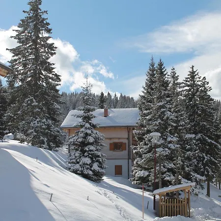 Koralpe Enzian * Frantschach-Sankt Gertraud