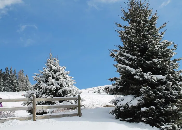 Koralpe Enzian בקתה Frantschach-Sankt Gertraud