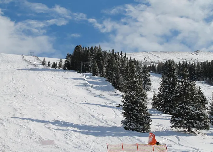 Chalet Koralpe Enzian