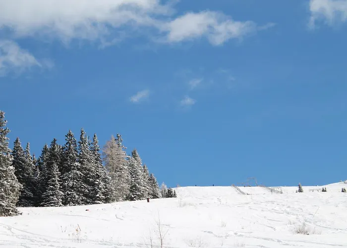 בקתה Koralpe Enzian