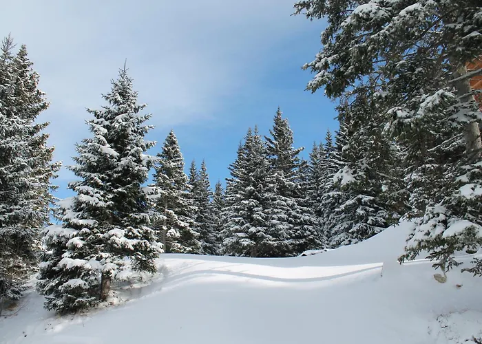 Koralpe Enzian בקתה Frantschach-Sankt Gertraud