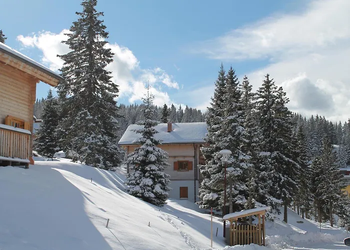 Koralpe Enzian * Frantschach-Sankt Gertraud