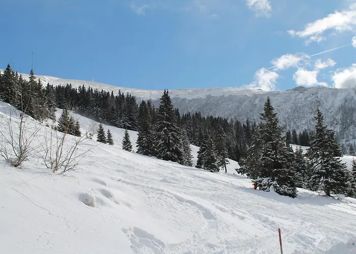Koralpe Enzian Frantschach-Sankt Gertraud